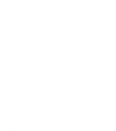 GISPAN-LOGO-TRANSPARENCY_aniric_digital_best Brand Strategy creation services